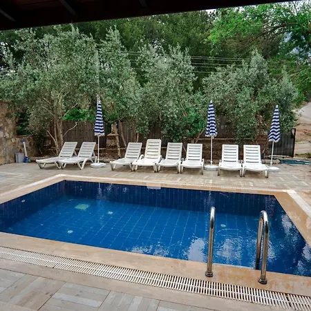 Fethiye Ölüdeniz'de Müstakil Havuzlu Doğa İçinde Villa A2
